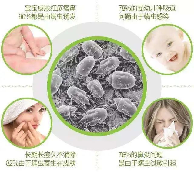 被子不方便曬怎么除螨?曬被子需要曬兩面嗎?