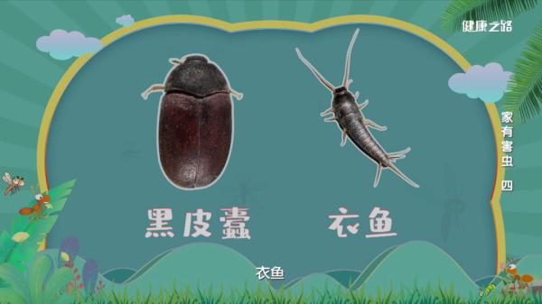蛀蟲最喜歡吃什么材質的衣服