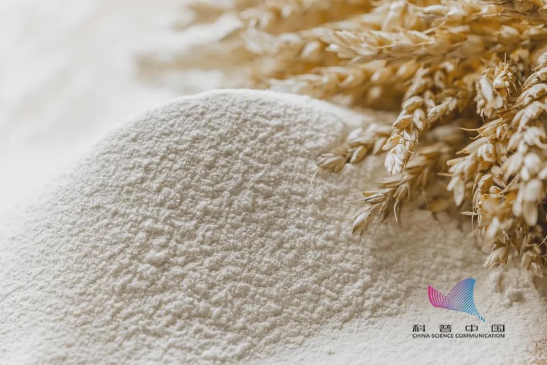 家里的米面為啥憑空出現小蟲?